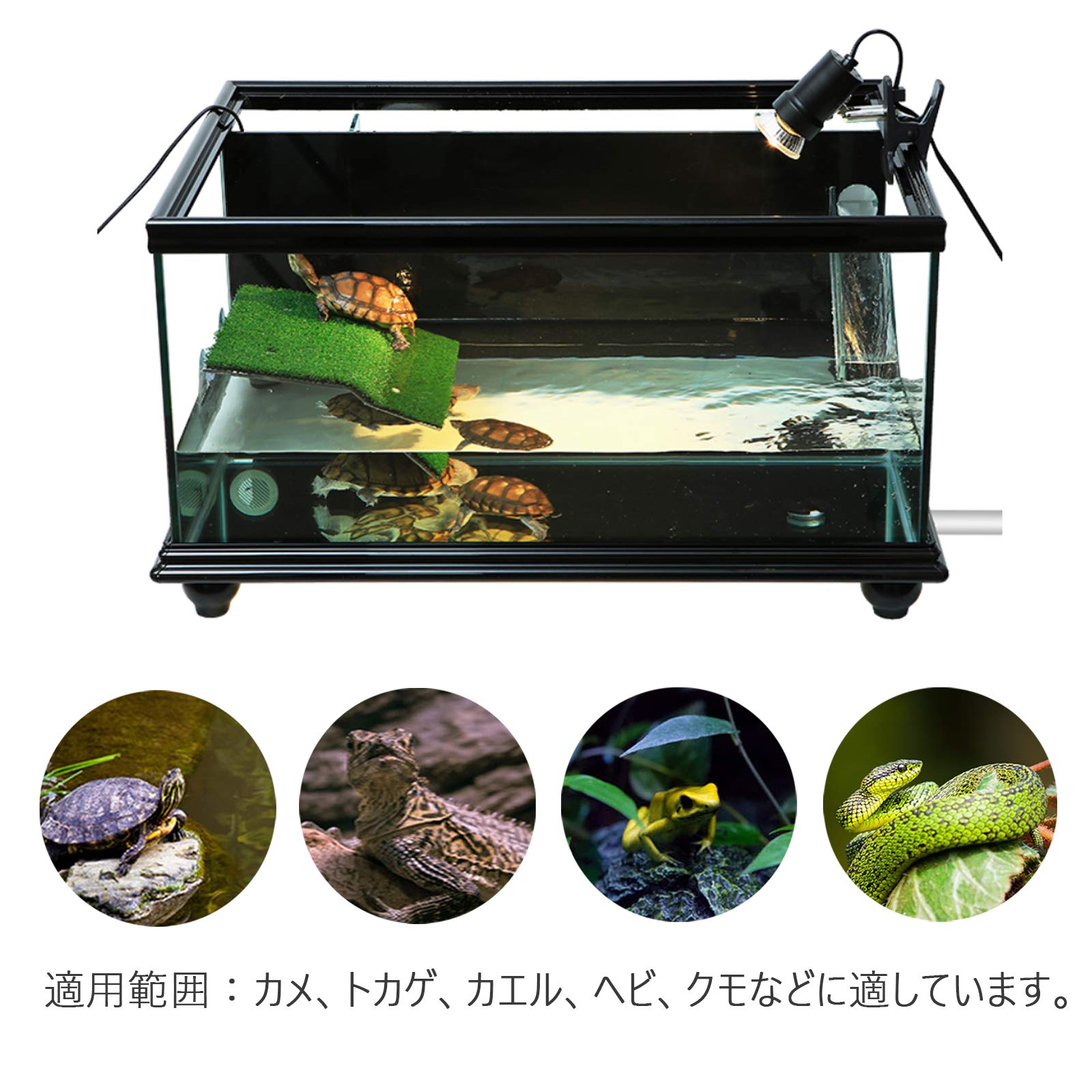 Amazon | 爬虫類 亀 かめ 浮き島 水槽台 ドック浮動 カメ桟橋 亀の